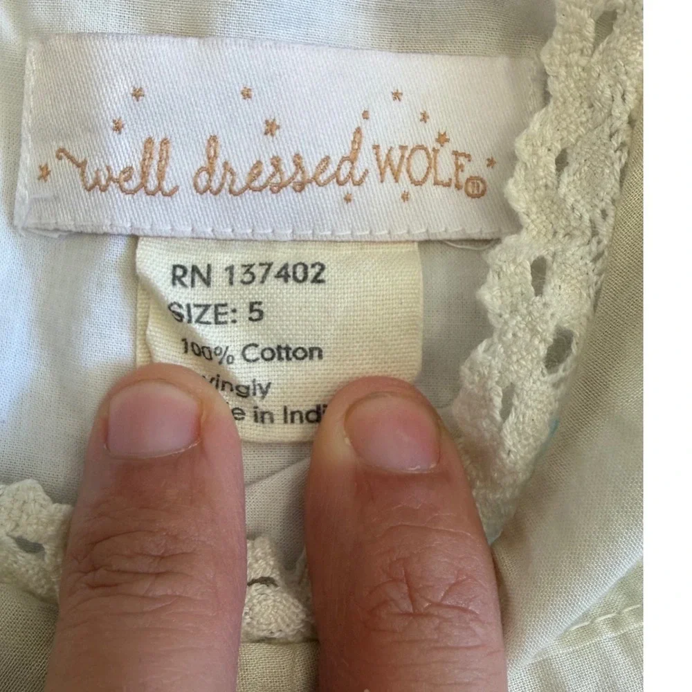 Well Dressed Wolf Girls Teal Cream Lace Pintuck Cotton Dress Size 5 Long Sleeve